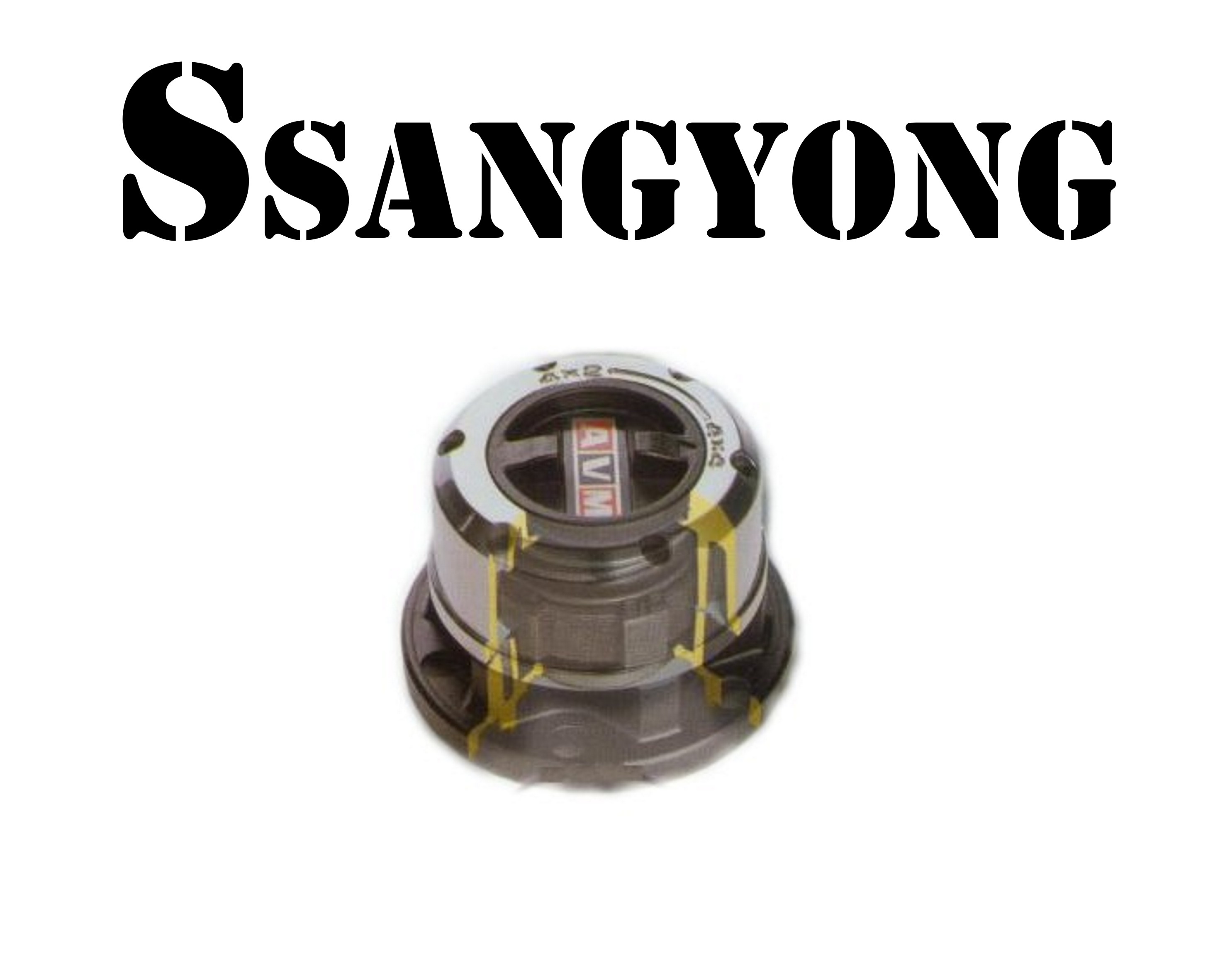 SSANGYONG