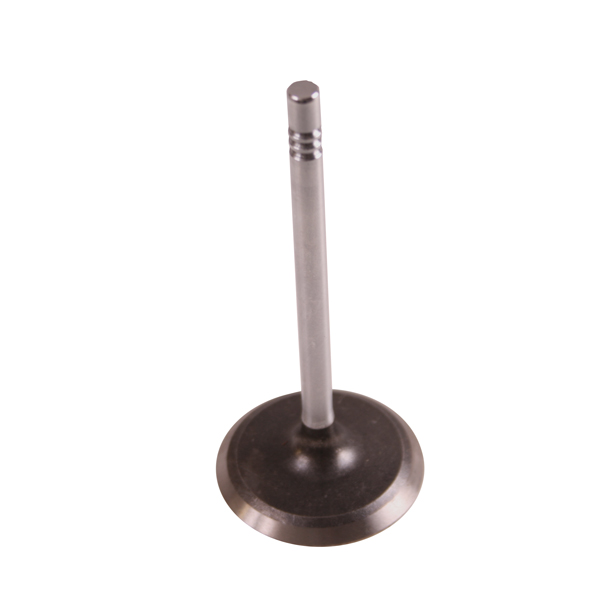Engine Intake Valve; 81-90 Jeep CJ/Wrangler YJ, 4.2L