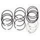 Engine Piston Ring Kit .040 /; 72-90 Jeep CJ/Wrangler YJ, 3.8L/4.2L - 1