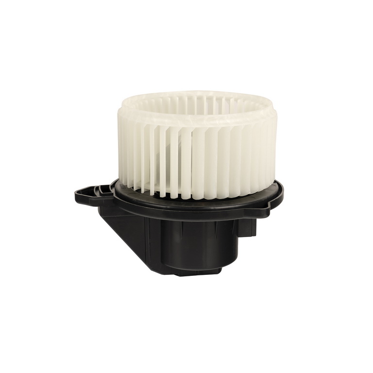 Blower Assembly, 02-04 Jeep Grand Cherokee WJ - 1