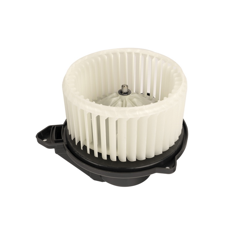 Blower Assembly, 02-04 Jeep Grand Cherokee WJ - 2