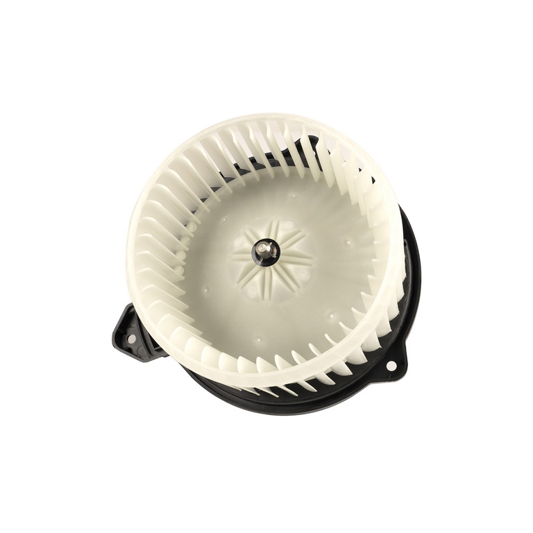 Blower Assembly, 02-04 Jeep Grand Cherokee WJ - 3