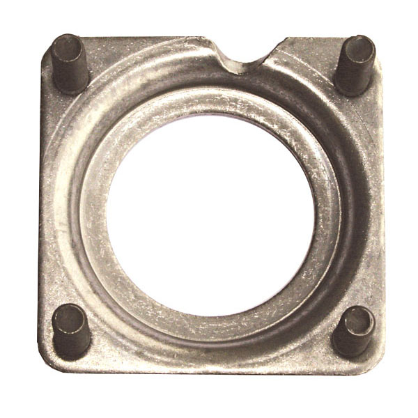 Axle Shaft Retainer Plate; 03-06 Jeep Wrangler Rubicon TJ, for Dana 44