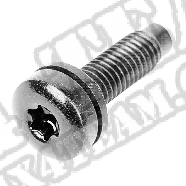 Śruba Torx, Osłona ramki szyby, M8-1.25, 07-14 Jeep Wrangler JK