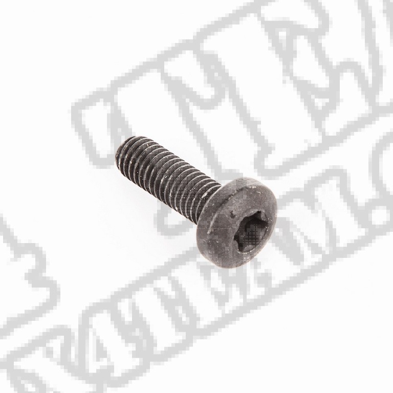 Wkręt TORX odboju maski; 84-06 CJ/Wrangler YJ/TJ