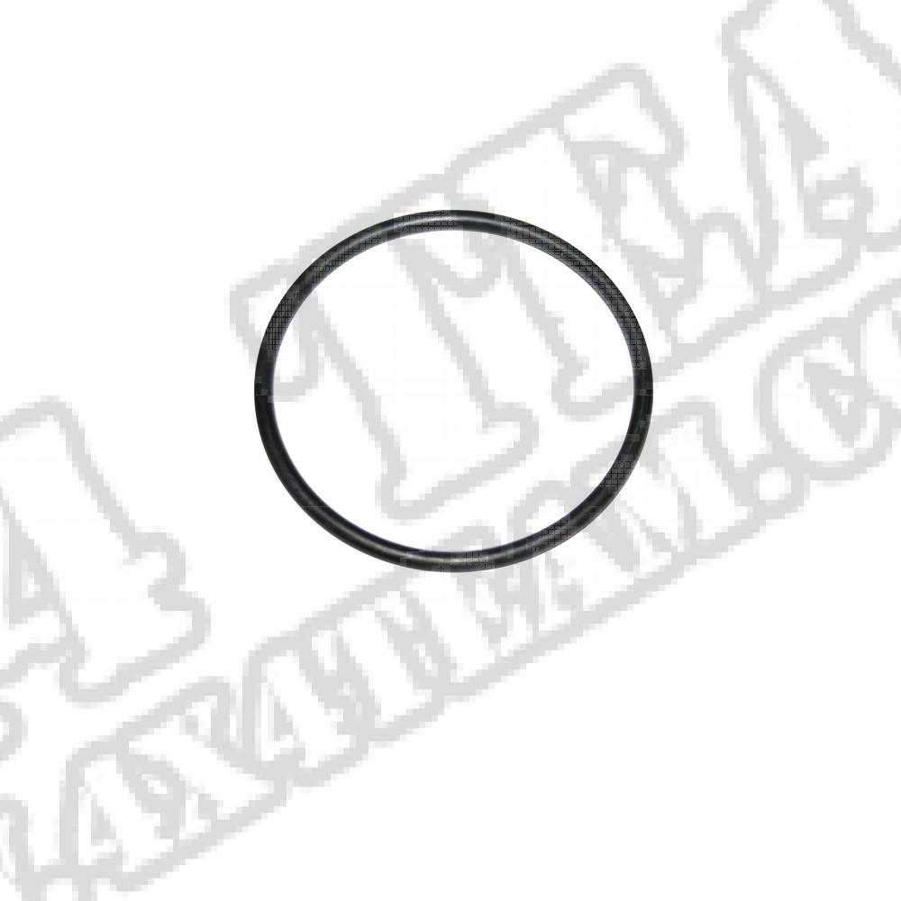 Oring czujnika poziomu paliwa 70-86 Jeep CJ