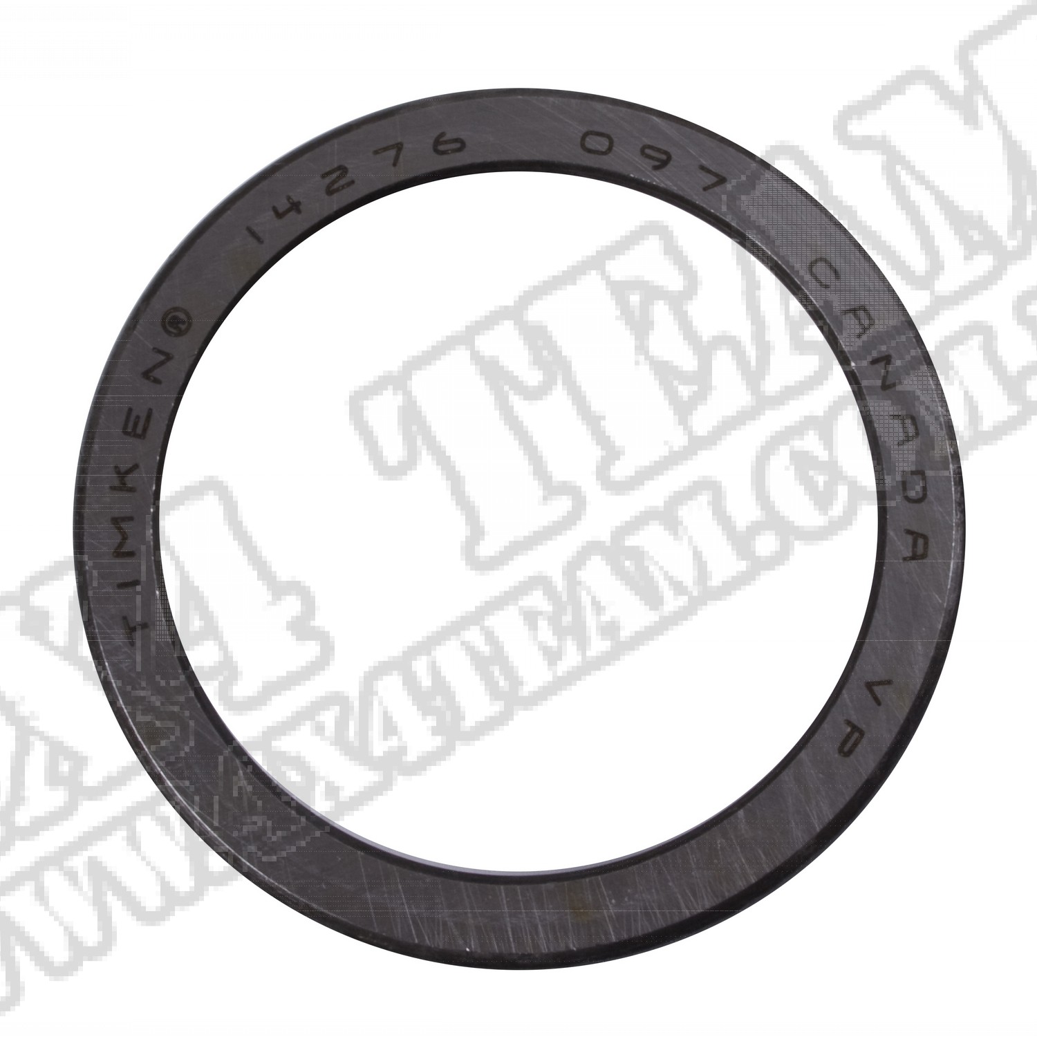 Transfer Case Output Shaft Bearing Race; 72-79 CJ, AMC 20