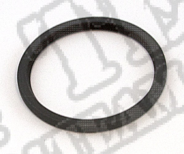 Transfer Case Oil Pump Seal, NP231; 87-99 Jeep Wrangler