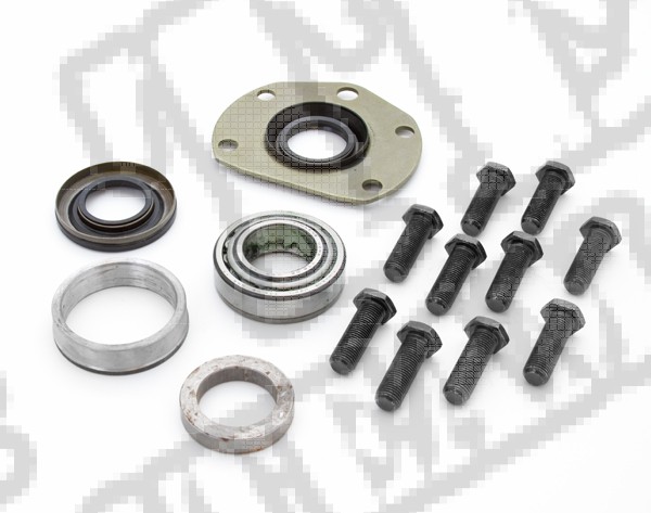 Differential Bearing Kit; 76-86 CJ5/CJ7/CJ8/Wagoneer/Cherokee, AMC 20