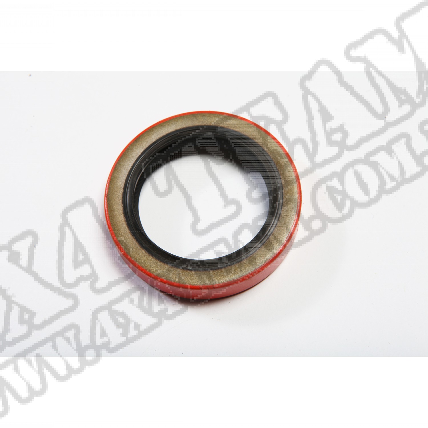 Rear Seal, GM 10 Bolt