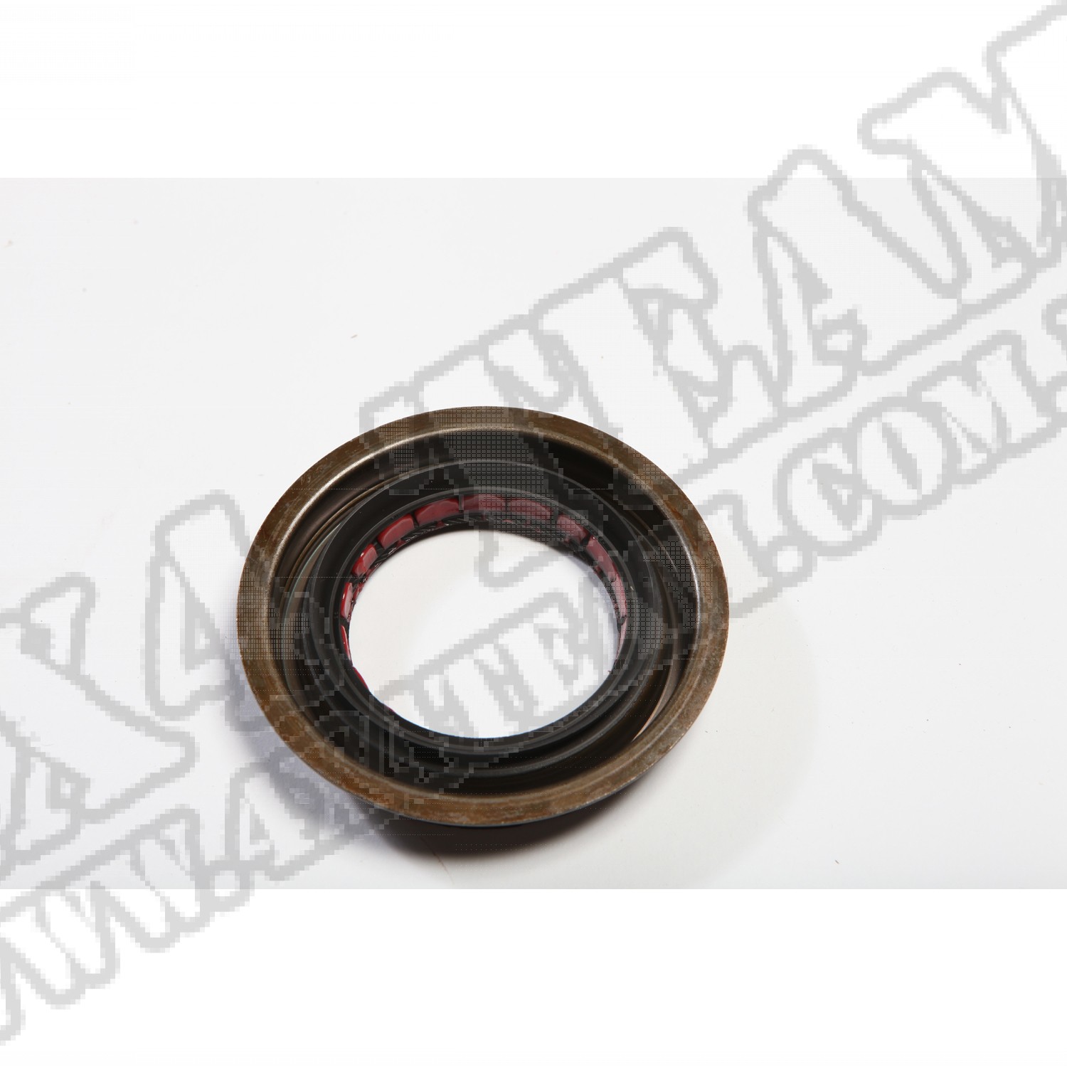 Pinion Seal, GM 14 Bolt