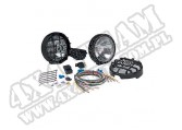 Fog Lamp Pair Kit 100W Blk